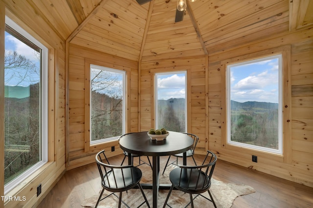 247 Black Snake Hollow Rd, Elizabethton, TN 37643 - photo 14