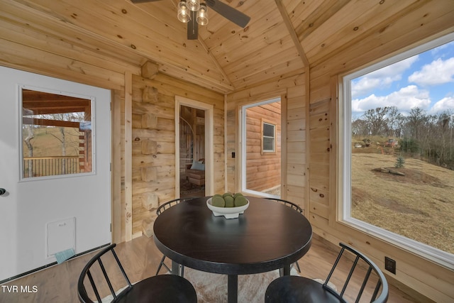 247 Black Snake Hollow Rd, Elizabethton, TN 37643 - photo 15