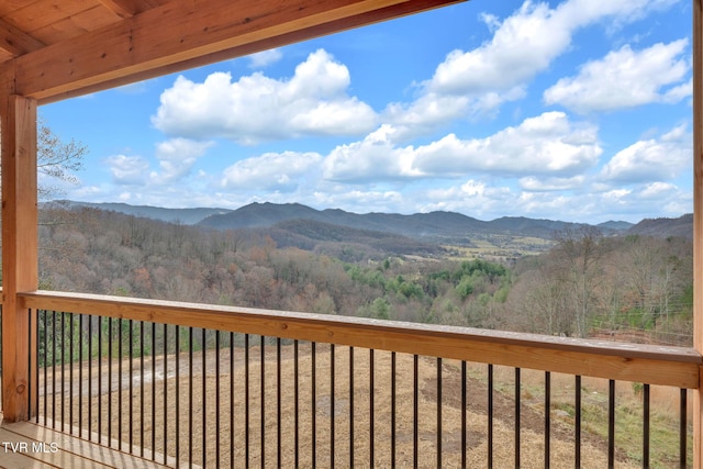 247 Black Snake Hollow Rd, Elizabethton, TN 37643 - photo 24