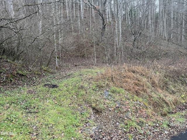 TBD Tiger Creek Rd, Roan Mountain TN, 37687 land for sale