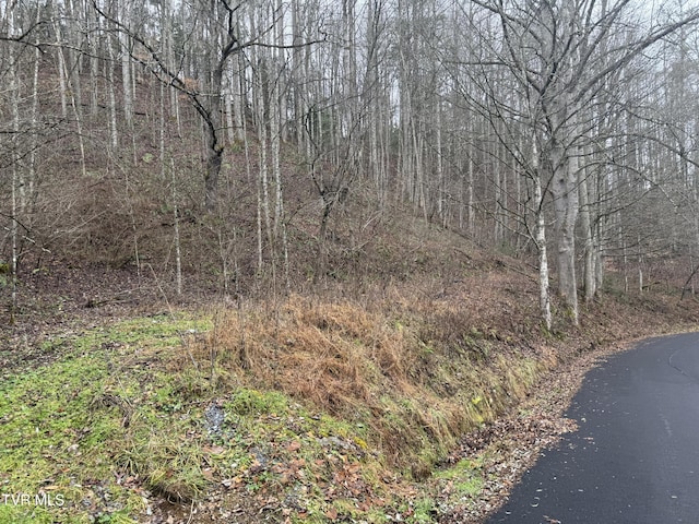 Listing photo 3 for TBD Tiger Creek Rd, Roan Mountain TN 37687