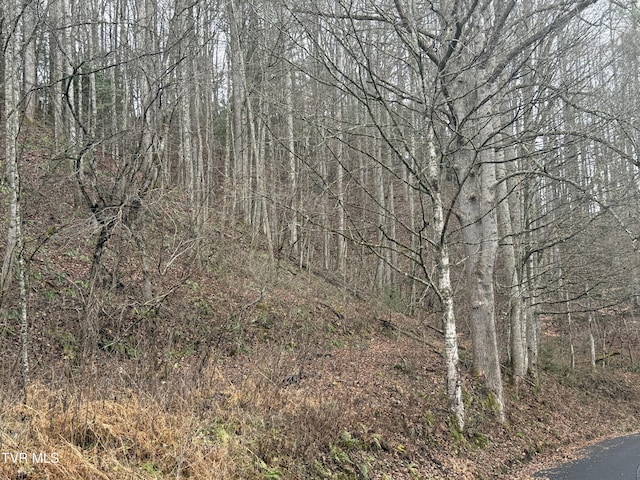 TBD Tiger Creek Rd, Roan Mountain, TN 37687 - photo 6