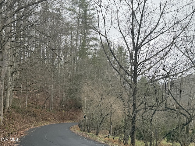 TBD Tiger Creek Rd, Roan Mountain, TN 37687 - photo 7