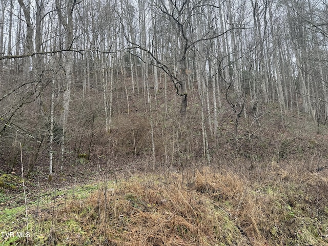 TBD Tiger Creek Rd, Roan Mountain, TN 37687 - photo 9
