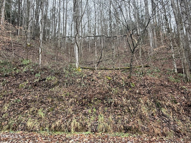 TBD Tiger Creek Rd, Roan Mountain, TN 37687 - photo 12