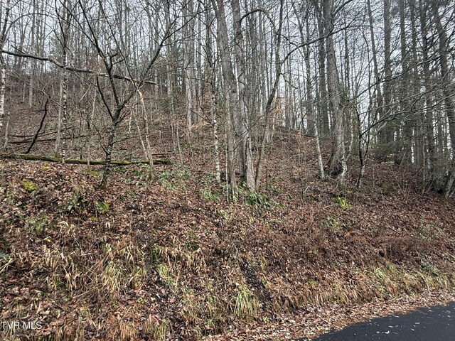 TBD Tiger Creek Rd, Roan Mountain, TN 37687 - photo 13