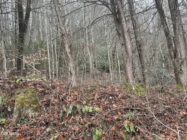TBD Tiger Creek Rd, Roan Mountain, TN 37687 - photo 14
