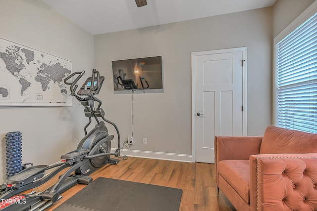 exercise room with wood-type flooring