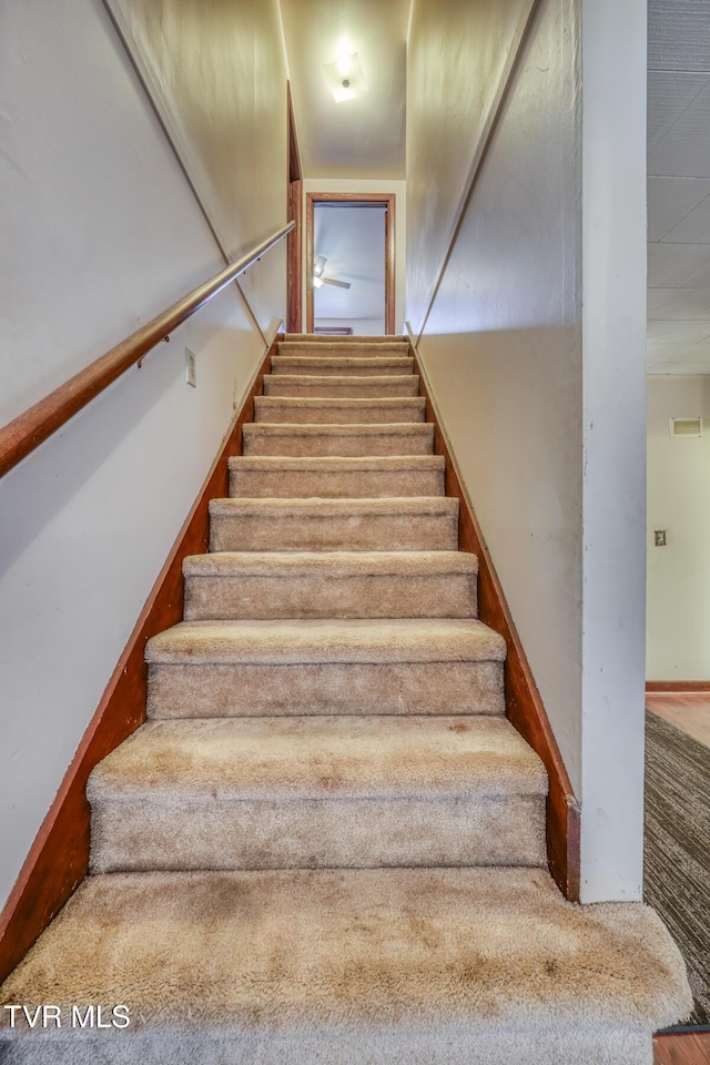 staircase with carpet