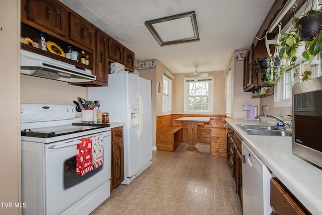 kitchen with ceiling fan, white appliances, dark brown cabinetry, and sink