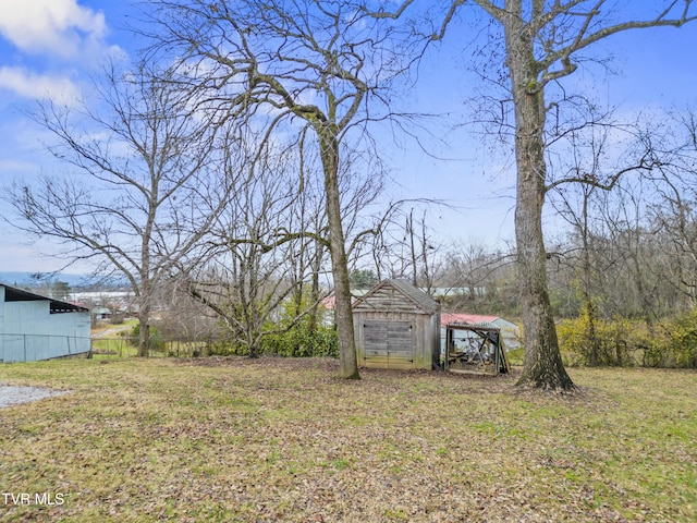 view of yard featuring an outdoor structure