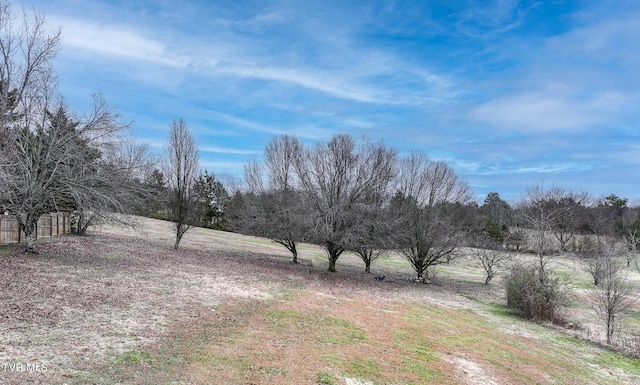 view of yard with a rural view