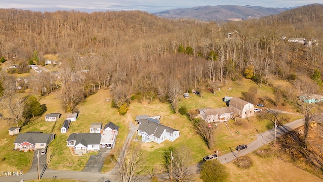 birds eye view of property with a mountain view