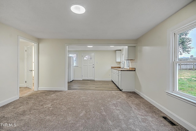 interior space featuring sink, light carpet, and a wealth of natural light