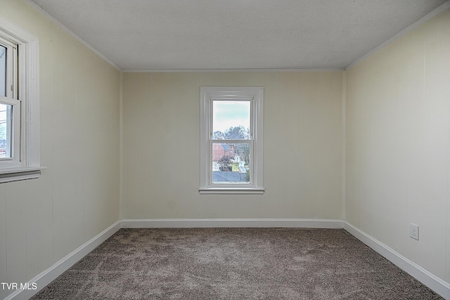 empty room featuring carpet and a textured ceiling