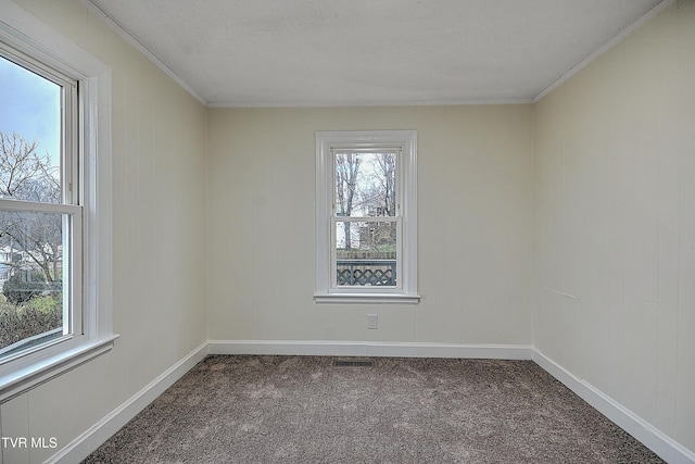 carpeted empty room with a textured ceiling, crown molding, and a healthy amount of sunlight