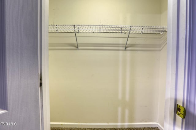 view of closet