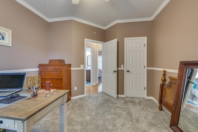 carpeted office featuring ceiling fan and ornamental molding