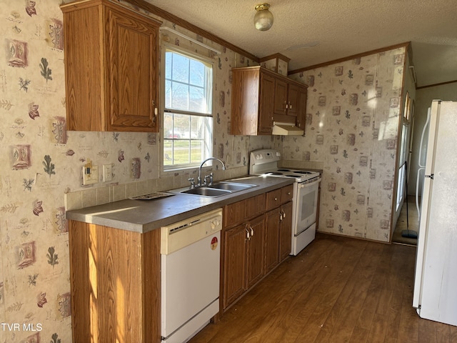 kitchen with a textured ceiling, white appliances, crown molding, dark wood-type flooring, and sink