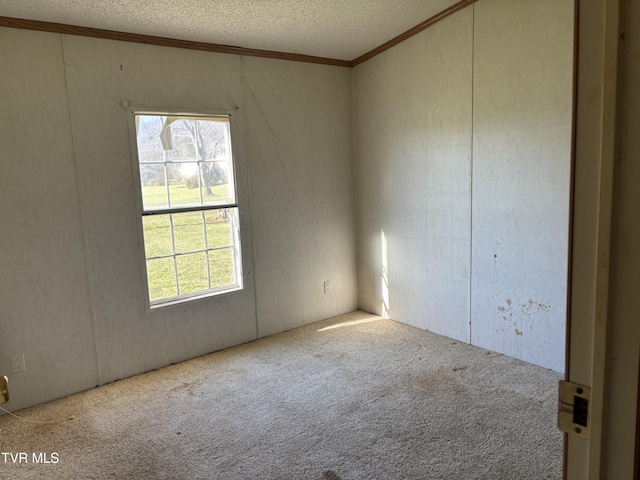 carpeted empty room with a textured ceiling and crown molding