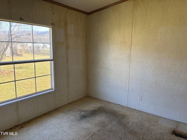 carpeted empty room with ornamental molding