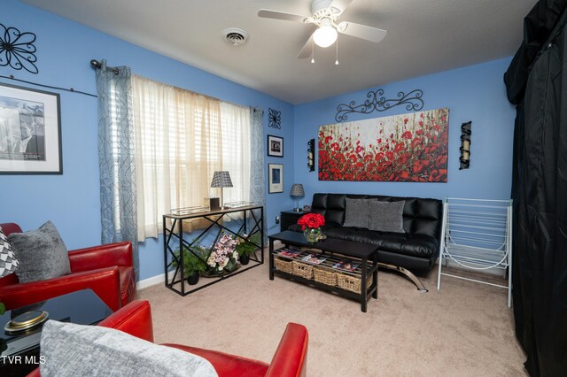 105 May Apple Dr, Bluff City, TN 37618 - photo 29