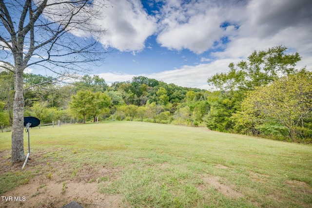 6245 Baileyton Rd, Greeneville, TN 37745