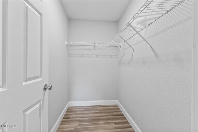 walk in closet featuring wood-type flooring