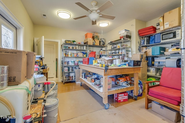 storage featuring a ceiling fan