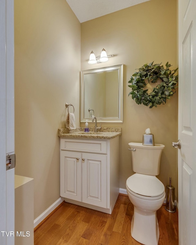 bathroom featuring vanity, toilet, and wood-type flooring