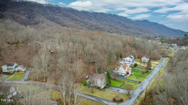 aerial view with a mountain view