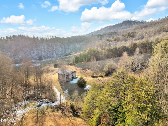 property view of mountains