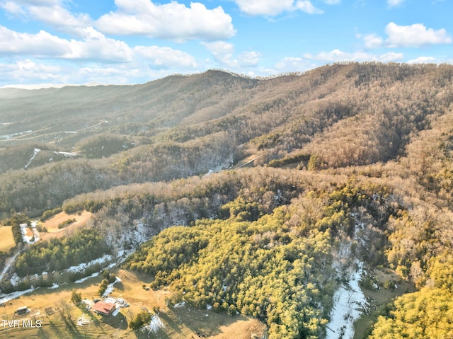 property view of mountains