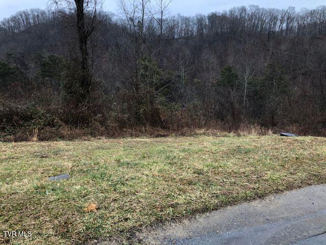 104 W Wilkshire Pl, Bristol TN, 37620 land for sale