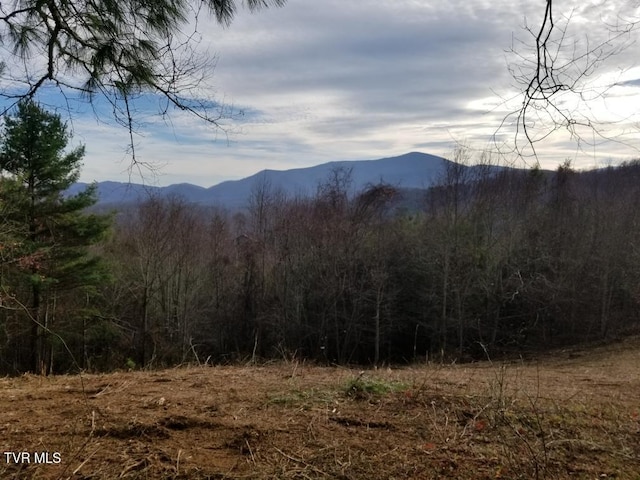 Listing photo 2 for TBD Bear Branch Rd, Roan Mountain TN 37687