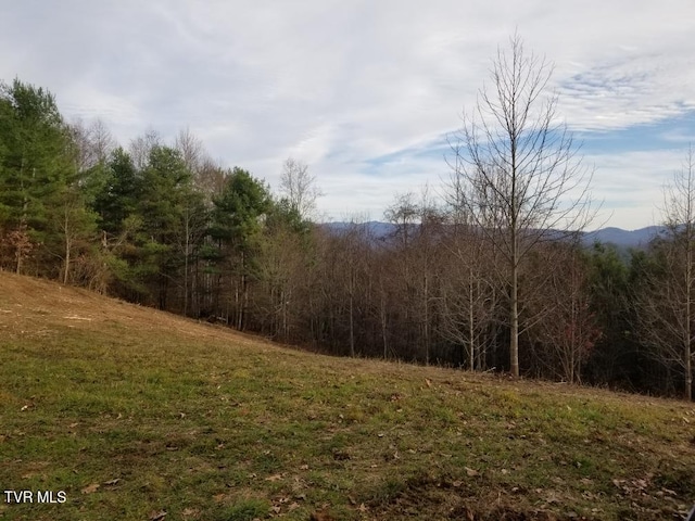 Listing photo 3 for TBD Bear Branch Rd, Roan Mountain TN 37687