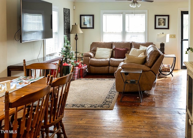 living room with dark hardwood / wood-style flooring, ceiling fan, and a healthy amount of sunlight