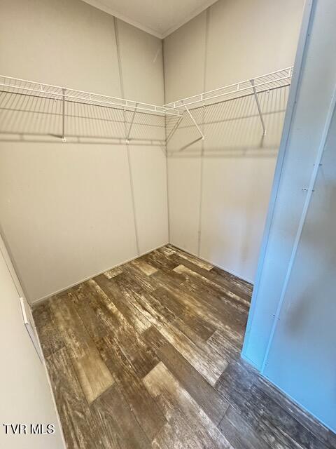 walk in closet with hardwood / wood-style flooring