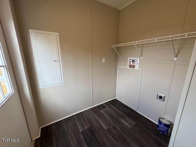 laundry room featuring electric dryer hookup, washer hookup, and dark hardwood / wood-style floors