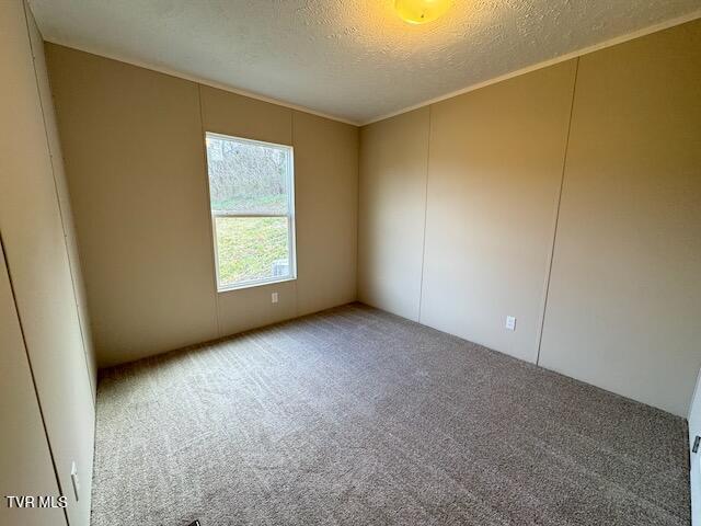 carpeted spare room featuring a textured ceiling