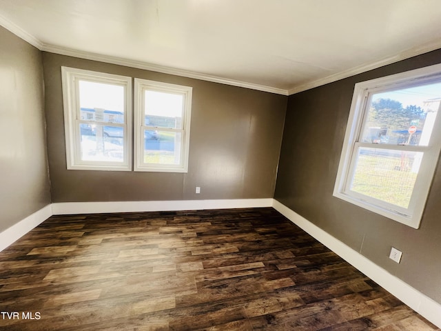 empty room featuring crown molding and dark wood-type flooring