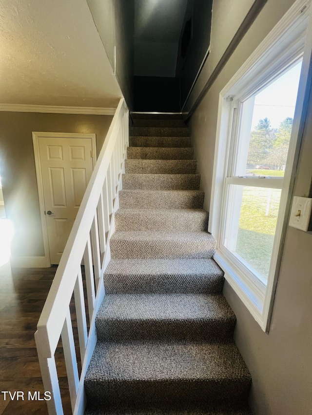 stairway featuring hardwood / wood-style flooring, a healthy amount of sunlight, and ornamental molding