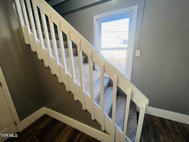 stairway featuring hardwood / wood-style flooring and plenty of natural light