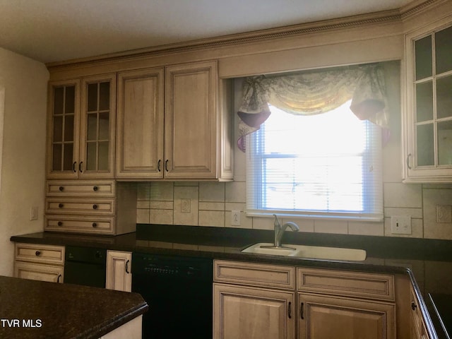 kitchen featuring backsplash, dishwasher, and sink