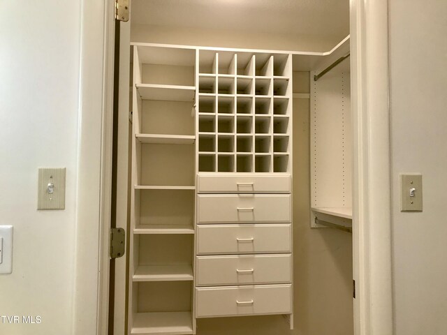 view of spacious closet