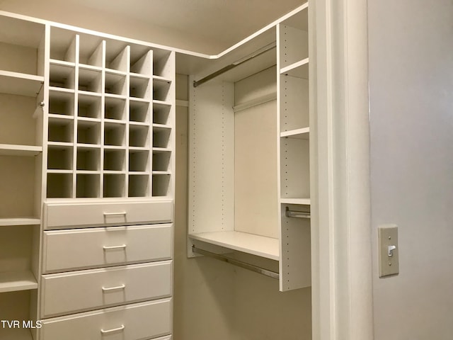 view of spacious closet