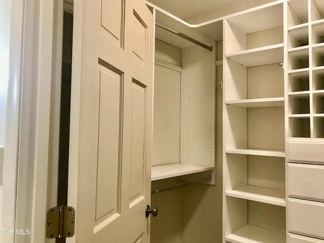 view of walk in closet