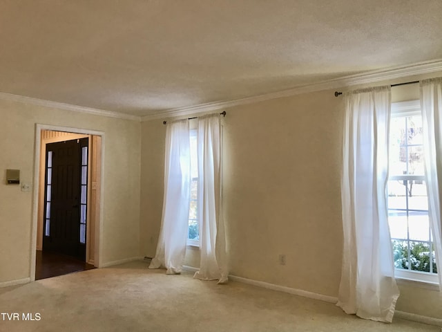 carpeted empty room with a textured ceiling, crown molding, and a healthy amount of sunlight