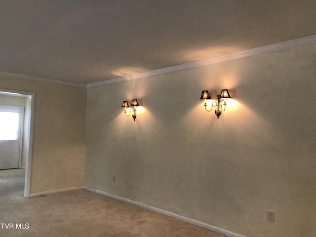 unfurnished room with crown molding and light colored carpet