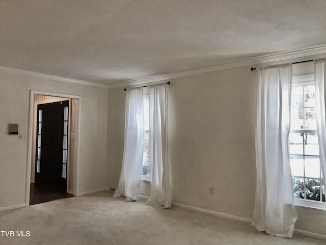 unfurnished room with carpet, crown molding, and a textured ceiling